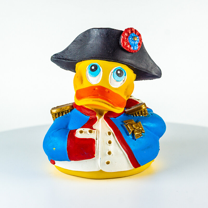 Napoleon Bonaparte wird auf Korsika geboren Napoleon Bonaparte wird auf Korsika geboren