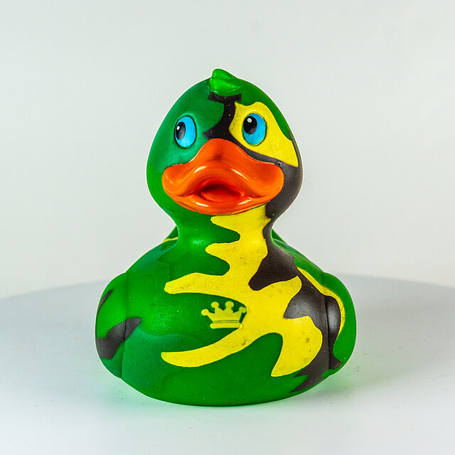Royal Ducks // Camouflage "Out of the blue" Royal Ducks // Camouflage "Out of the blue"