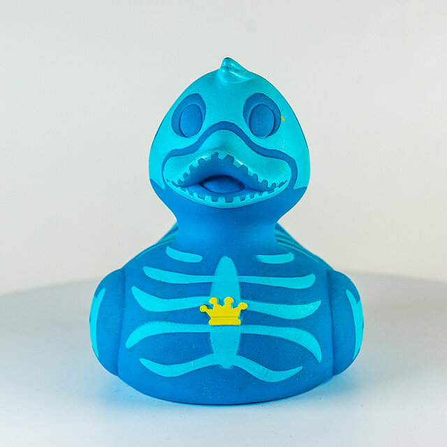Royal Ducks // Skelett, X-Ray, Röntgen (blau) "Out of the blue" Royal Ducks // Skelett, X-Ray, Röntgen (blau) "Out of the blue"