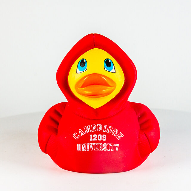 Hoodie rot - "Cambridge University 1209" (bubblesqueak)