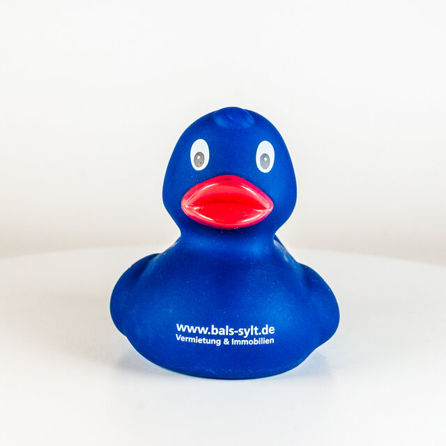 openmindz // Blue – "bals-sylt"
