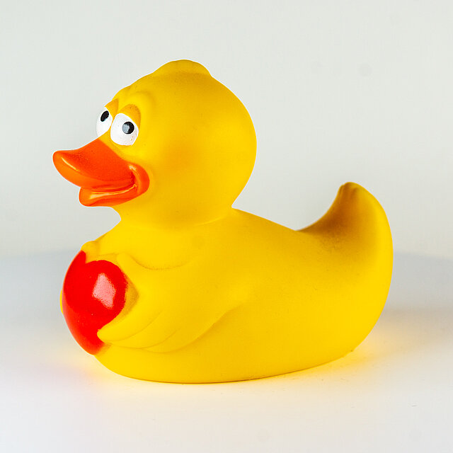Travelduck