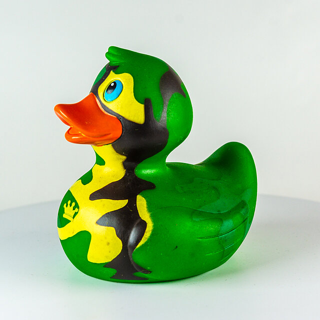 Royal Ducks // Camouflage "Out of the blue" Royal Ducks // Camouflage "Out of the blue"
