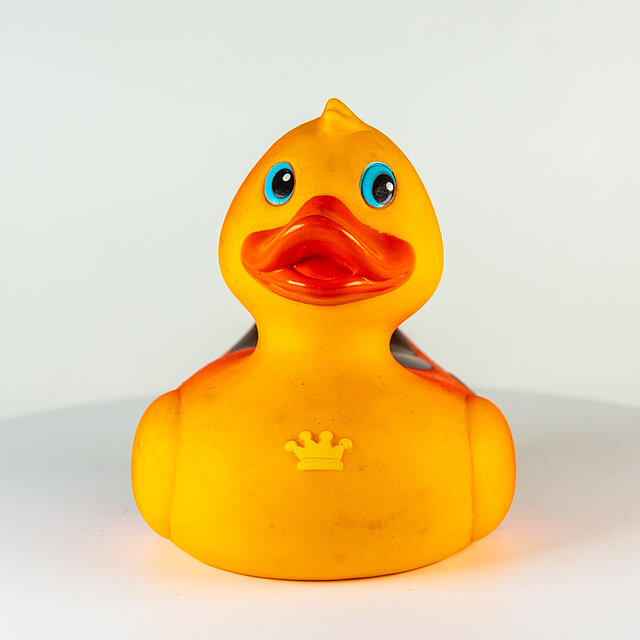 Royal Ducks // Flamme (gelb) "Out of the blue" Royal Ducks // Flamme (gelb) "Out of the blue"