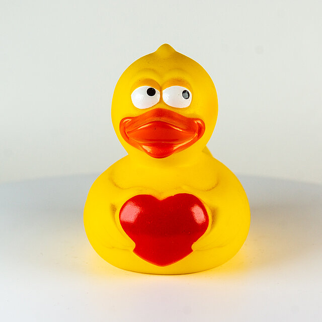 Travelduck
