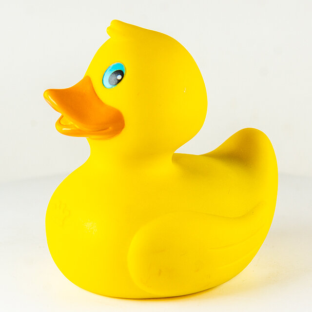 Royal Ducks // Vibro (gelb) "Out of the blue" Royal Ducks // Vibro (gelb) "Out of the blue"