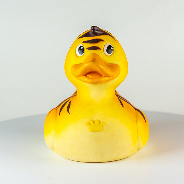 Royal Ducks // Tiger "Out of the blue" Royal Ducks // Tiger "Out of the blue"